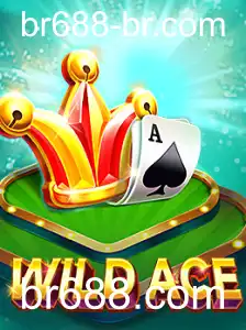WildAce: Explorando o Mistério e as Regras do Jogo com Conexões em br688.com